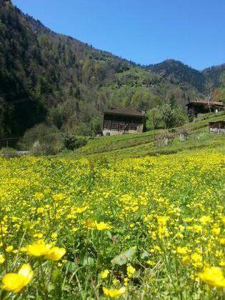 Pirikoğlu Otel - Görsel 3