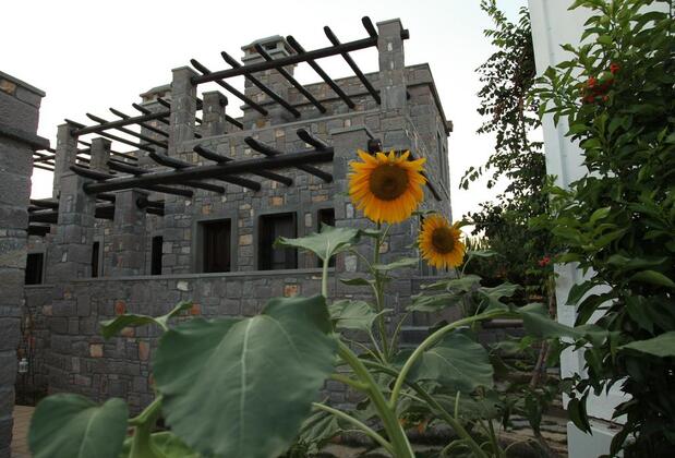 Akvaryum Otel - Görsel 14