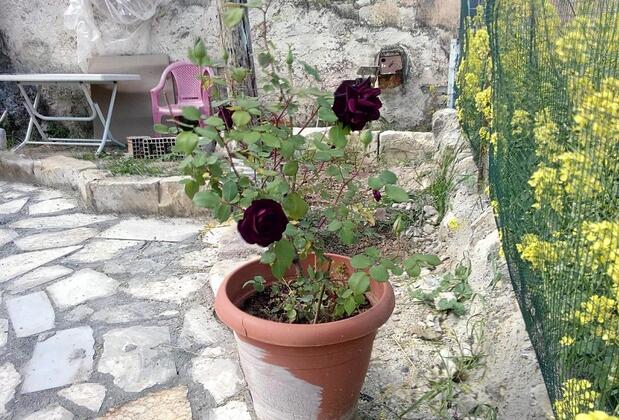 Homestay Halfeti Fırat Pansiyon - Görsel 5