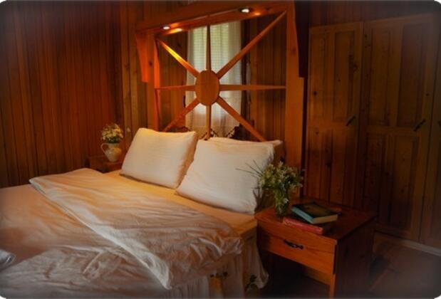 Arcadia Orange - Görsel 13