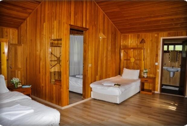 Arcadia Orange - Görsel 14