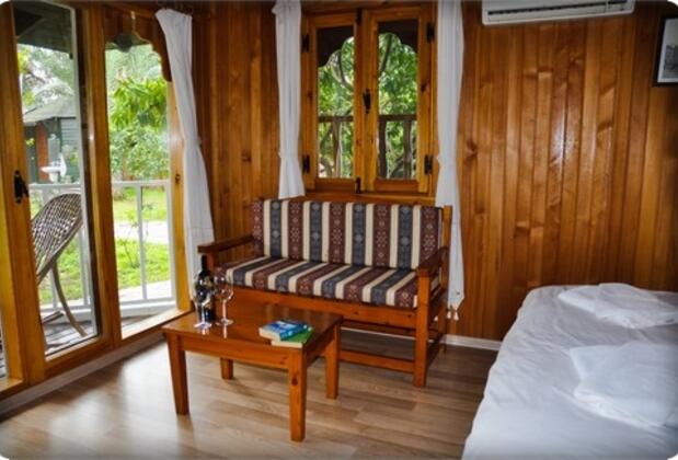 Arcadia Orange - Görsel 24