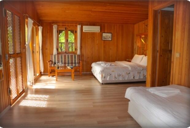 Arcadia Orange - Görsel 5