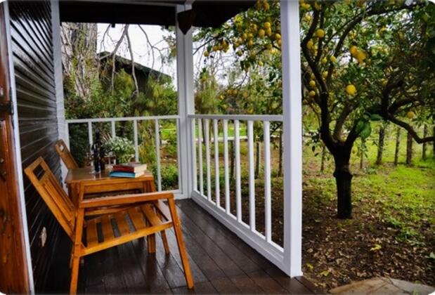 Arcadia Orange - Görsel 20