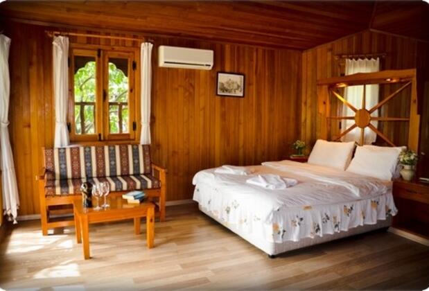 Arcadia Orange - Görsel 6