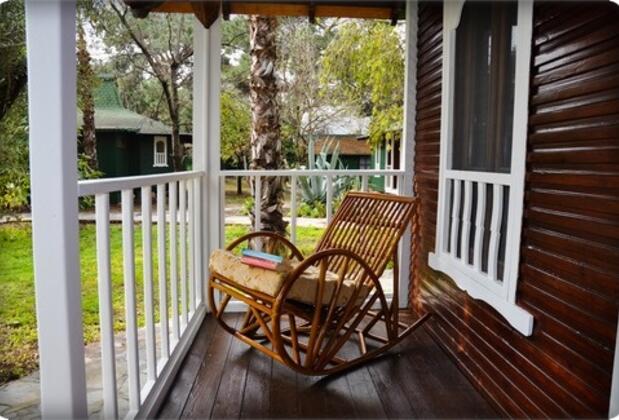 Arcadia Orange - Görsel 25