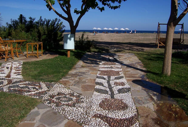 Arcadia Orange - Görsel 12