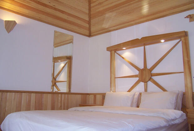 Arcadia Orange - Görsel 15