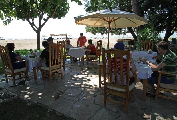 Arcadia Orange - Görsel 7