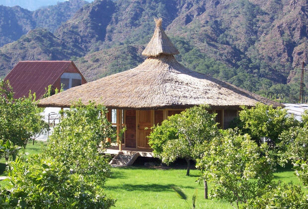 Arcadia Orange - Görsel 18