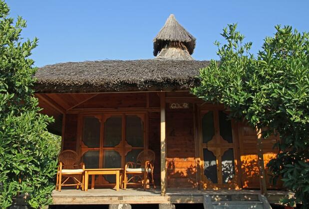 Arcadia Orange - Görsel 8