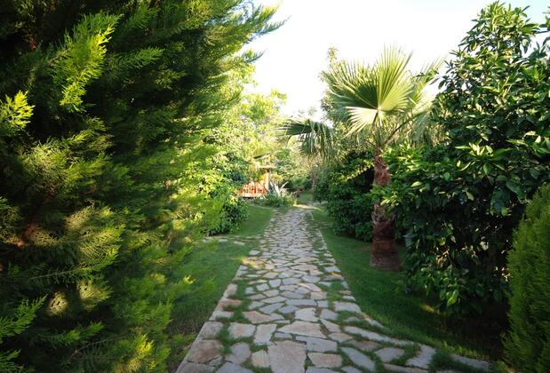 Arcadia Orange - Görsel 26