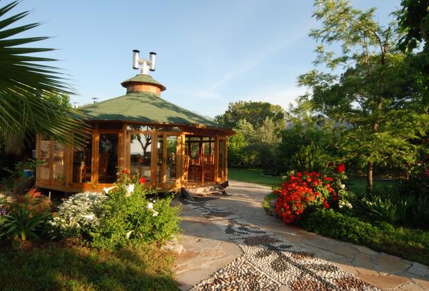 Arcadia Orange - Görsel 16