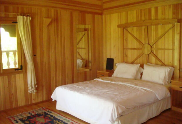 Arcadia Orange - Görsel 27