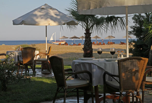 Arcadia Orange - Görsel 4