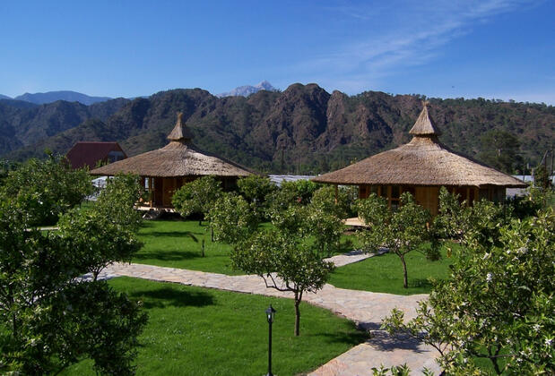 Arcadia Orange - Görsel 23