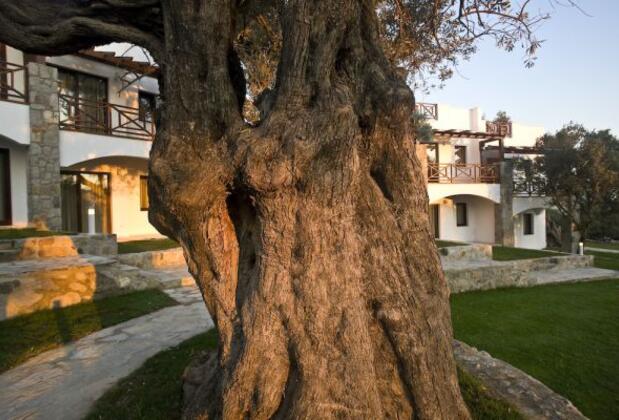 Le Jardin D'oliviers Yalıkavak - Görsel 6