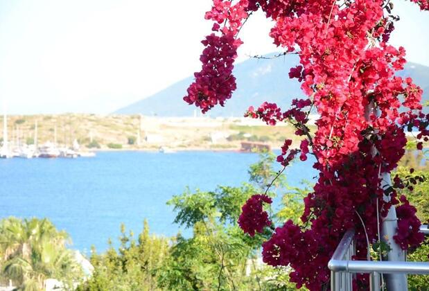 Rexene Resort - Görsel 27