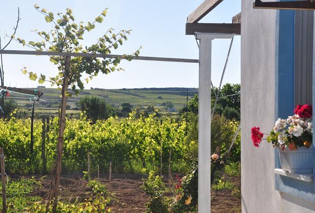 Bozcaada Çayır Bağ Evi Pansiyon - Görsel 31