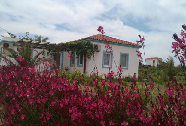 Bozcaada Çayır Bağ Evi Pansiyon - Görsel 38