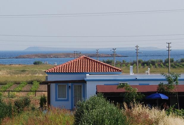 Bozcaada Çayır Bağ Evi Pansiyon - Görsel 3