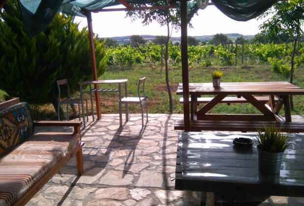 Bozcaada Çayır Bağ Evi Pansiyon - Görsel 11