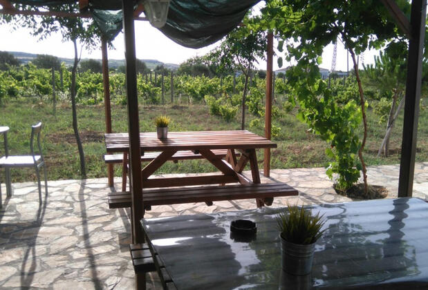 Bozcaada Çayır Bağ Evi Pansiyon - Görsel 32