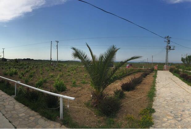 Bozcaada Çayır Bağ Evi Pansiyon - Görsel 26