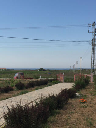 Bozcaada Çayır Bağ Evi Pansiyon - Görsel 37