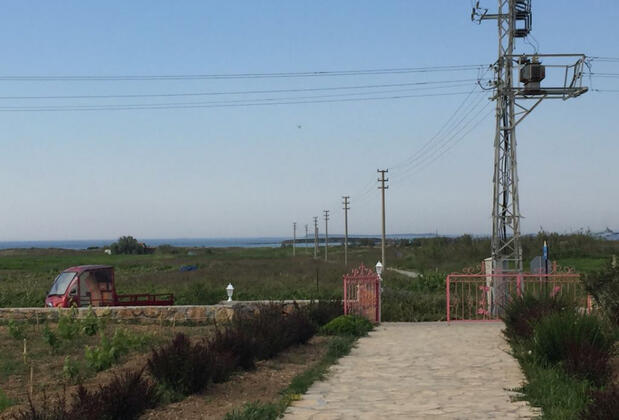Bozcaada Çayır Bağ Evi Pansiyon - Görsel 13