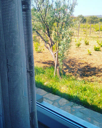 Bozcaada Çayır Bağ Evi Pansiyon - Görsel 29