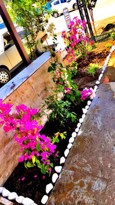 Neoss Butik Otel Sığacık - Görsel 24