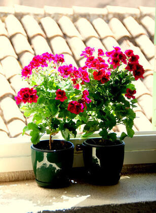 Taşhan Butik Otel - Görsel 19