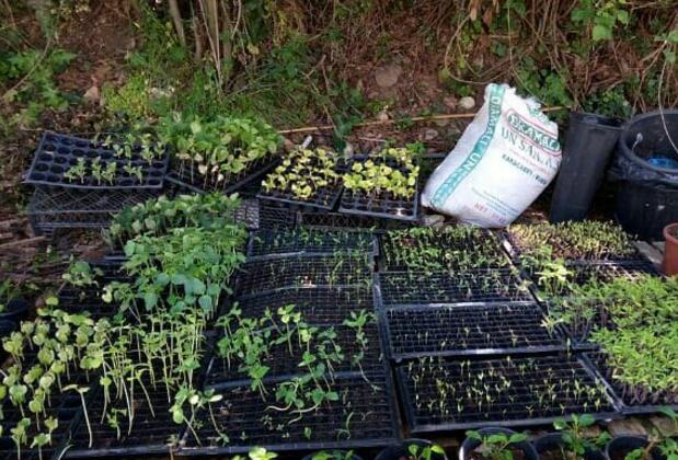 Kekik Hatun Köy Büyüsü - Görsel 22