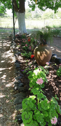 Kekik Hatun Köy Büyüsü - Görsel 14