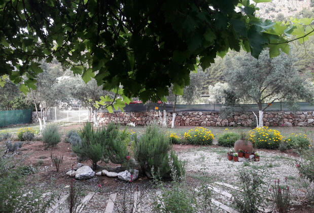 Kekik Hatun Köy Büyüsü - Görsel 7