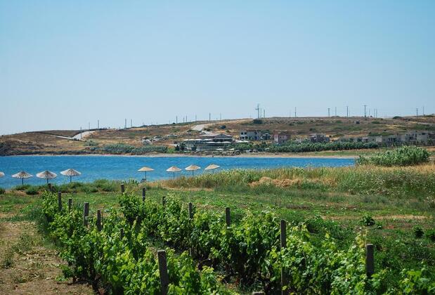Bozcaada Deniz Bahçe Otel - Görsel 5