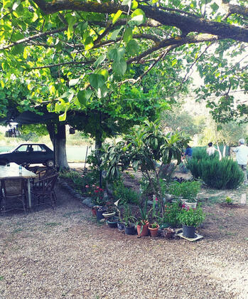 Kekik Hatun Köy Büyüsü - Görsel 36