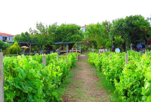 Bozcaada Deniz Bahçe Otel - Görsel 27