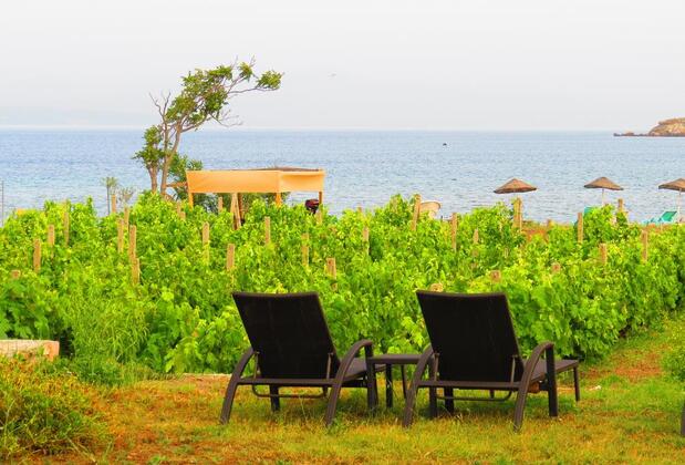 Bozcaada Deniz Bahçe Otel - Görsel 17