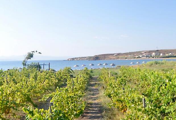 Bozcaada Deniz Bahçe Otel - Görsel 29