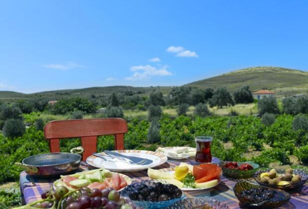 Bozcaada Karaf Bağevleri - Görsel 31