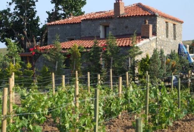 Bozcaada Karaf Bağevleri - Görsel 8