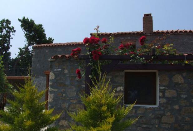 Bozcaada Karaf Bağevleri - Görsel 21