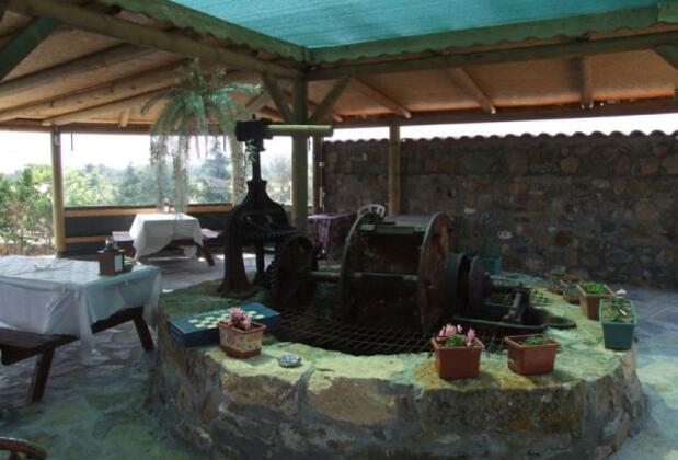 Bozcaada Karaf Bağevleri - Görsel 10