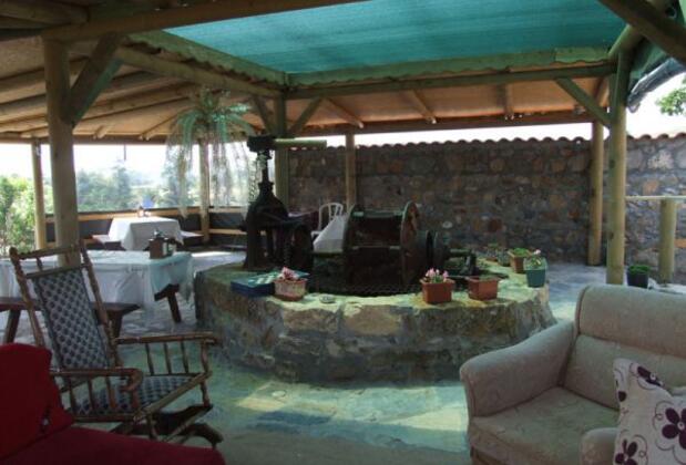 Bozcaada Karaf Bağevleri - Görsel 26