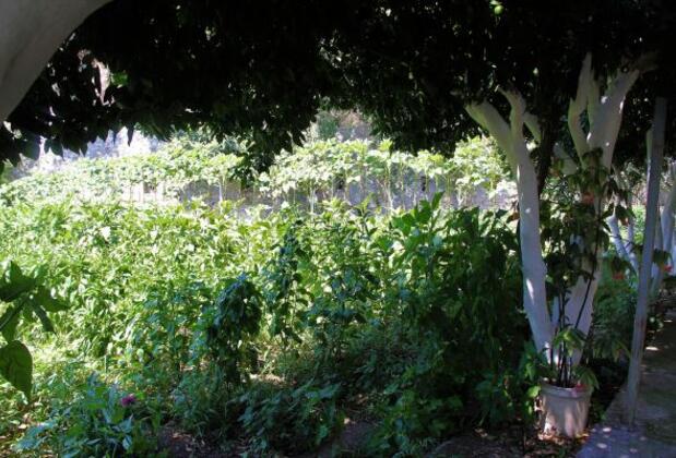 Kıvanç Pansiyon - Görsel 19