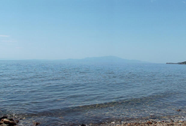 Assos Orchidee Bungalow - Görsel 15