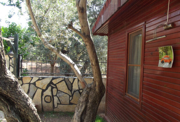 Assos Orchidee Bungalow - Görsel 16