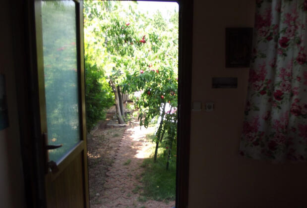 Assos Orchidee Bungalow - Görsel 20